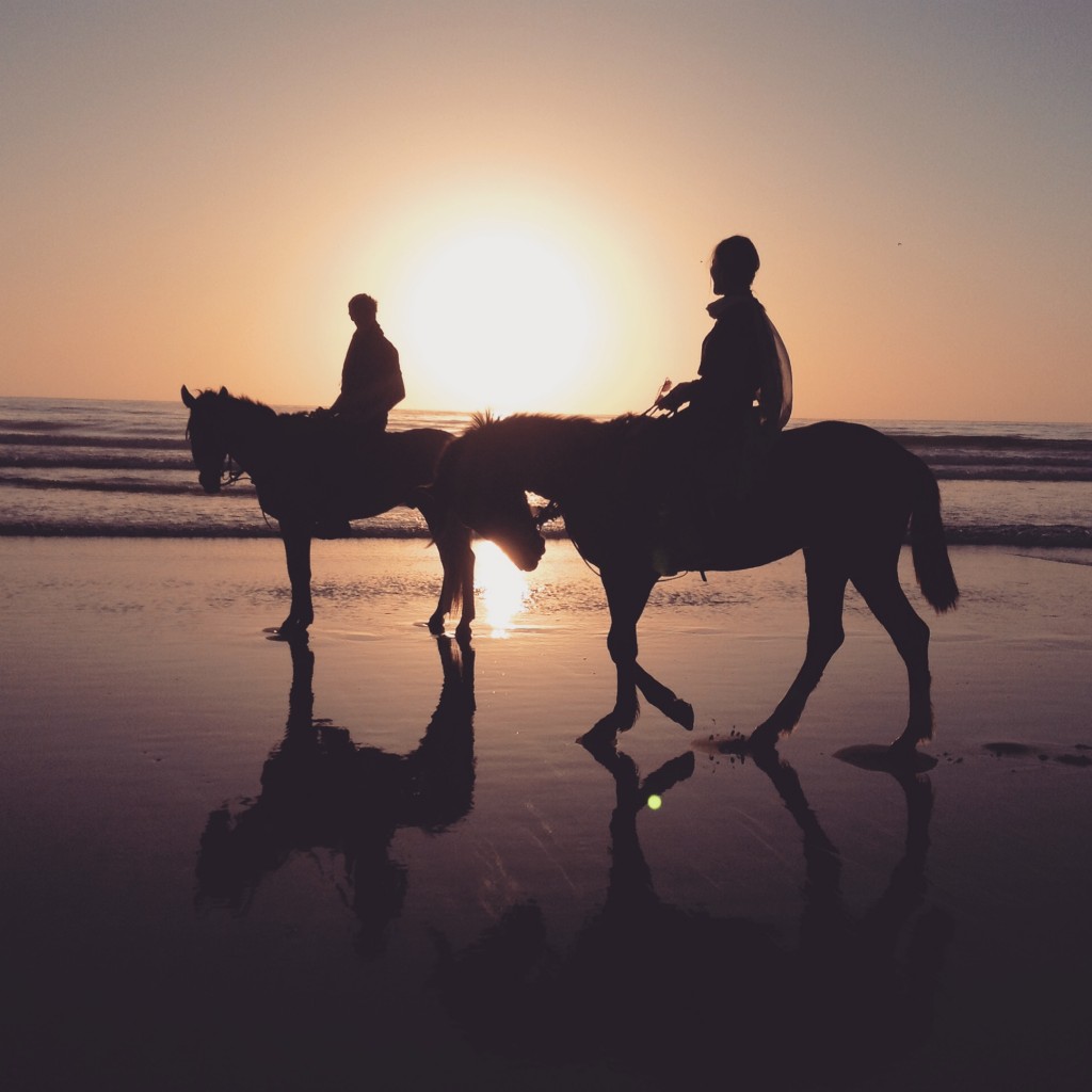 sunset-horse-ride-morocco